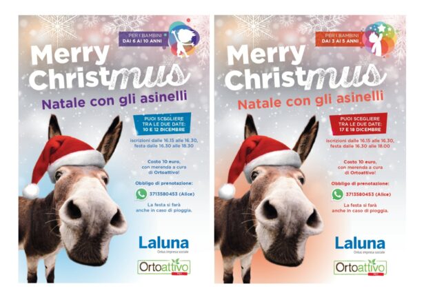 merry christmus doppia 615x425 - News