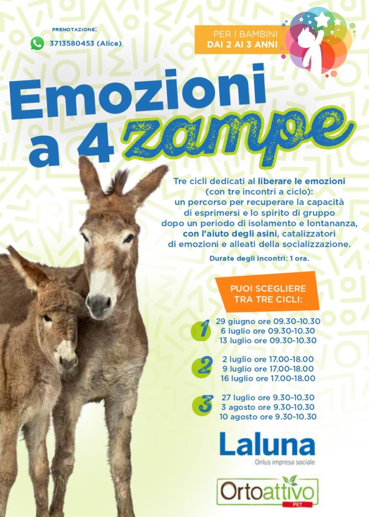 Emozioni 2 731x1024 - Le nostre proposte estive per i più piccoli!