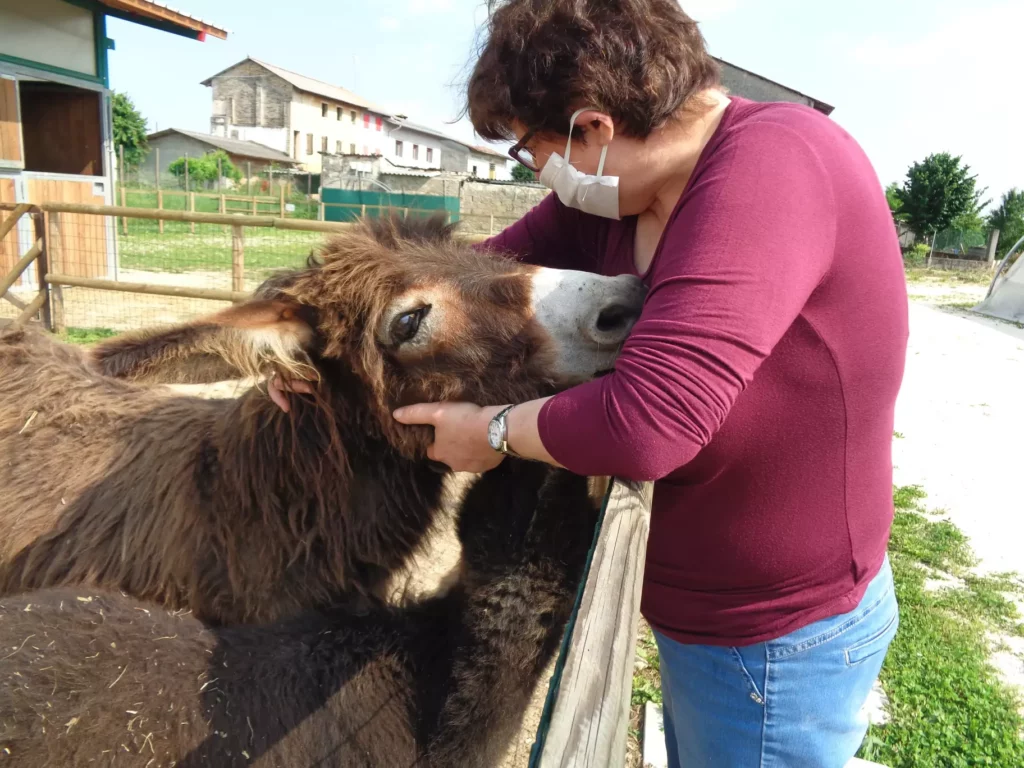 rapporto con gli animali attività Caffe dalla finestra con Roberto 21.05rid 1024x768 - Ortoattivo Pet