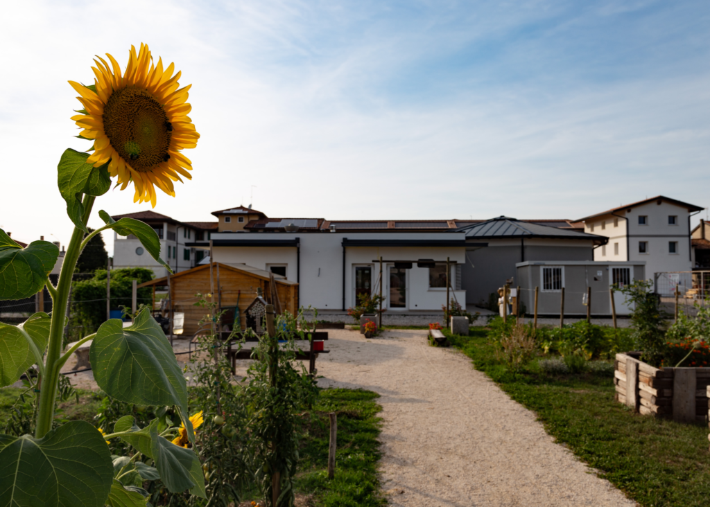 girasole 1024x732 - Open Day Cohousing 22 gennaio