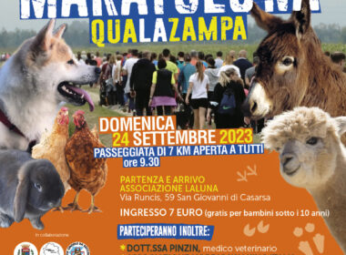 Laluna Flyer Maratoluna OK 380x280 - Home
