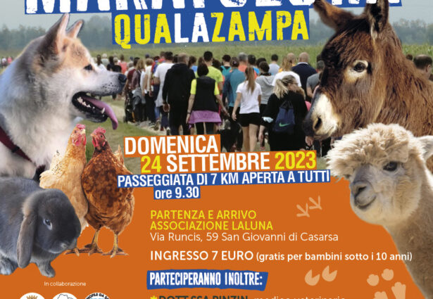 Laluna Flyer Maratoluna OK 615x425 - News