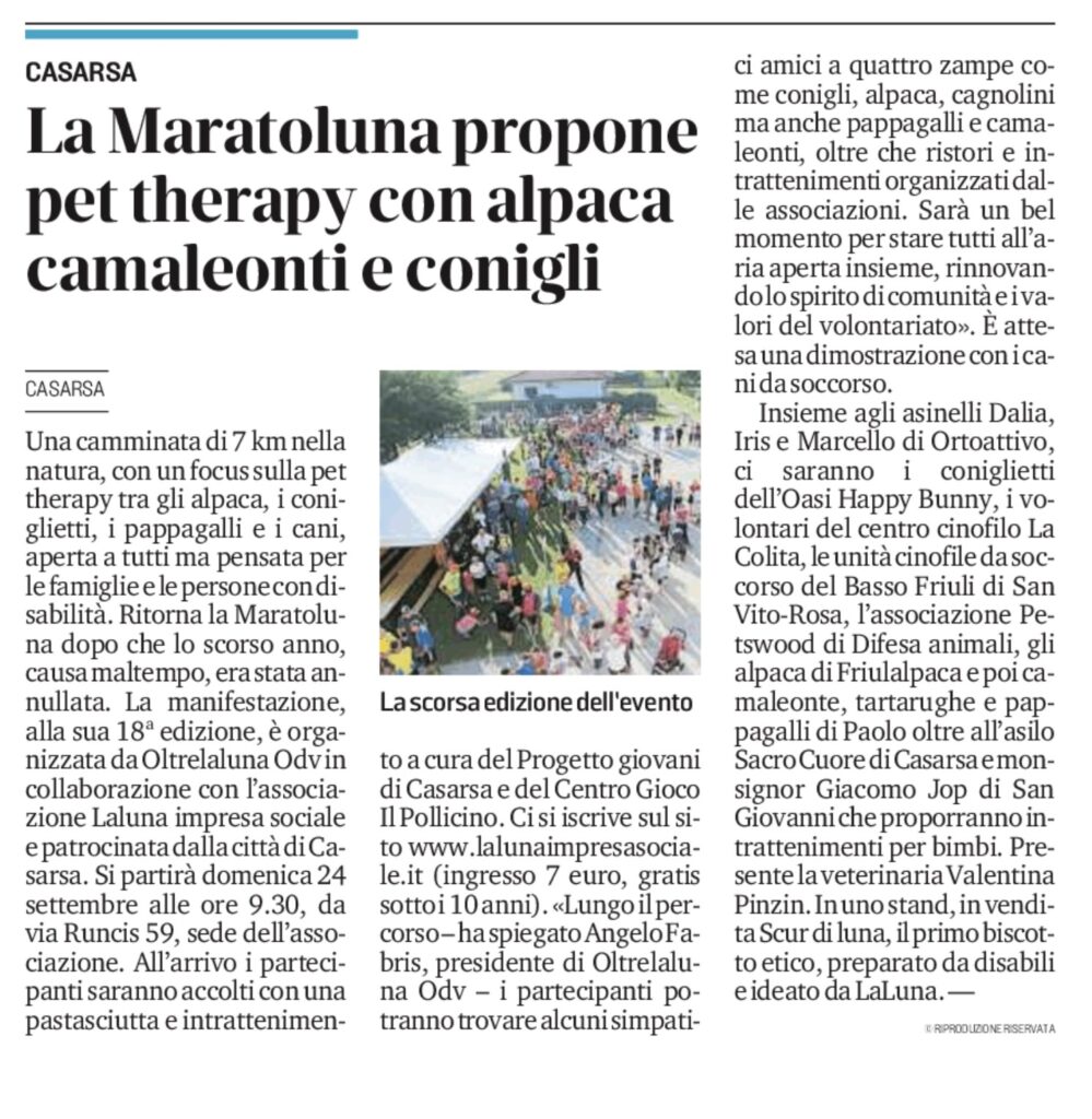 IMG 3611 999x1024 - Rassegna Stampa Maratoluna 2023