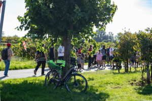 MG 8154 300x200 - MARATOLUNA 2025: OLTRE 700 PARTECIPANTI